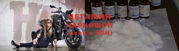 сатива Волоколамск