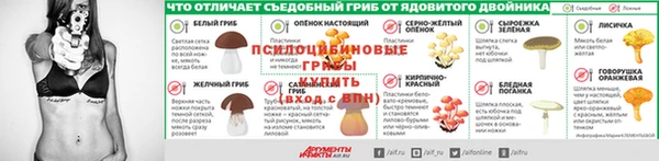 ALPHA PVP Володарск