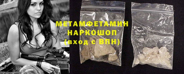 сатива Волоколамск