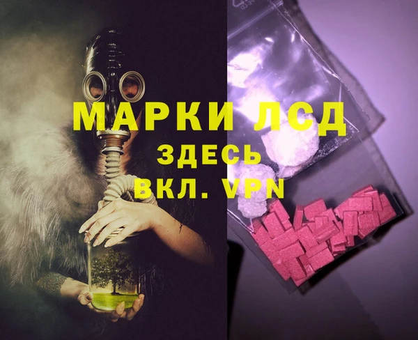 сатива Волоколамск